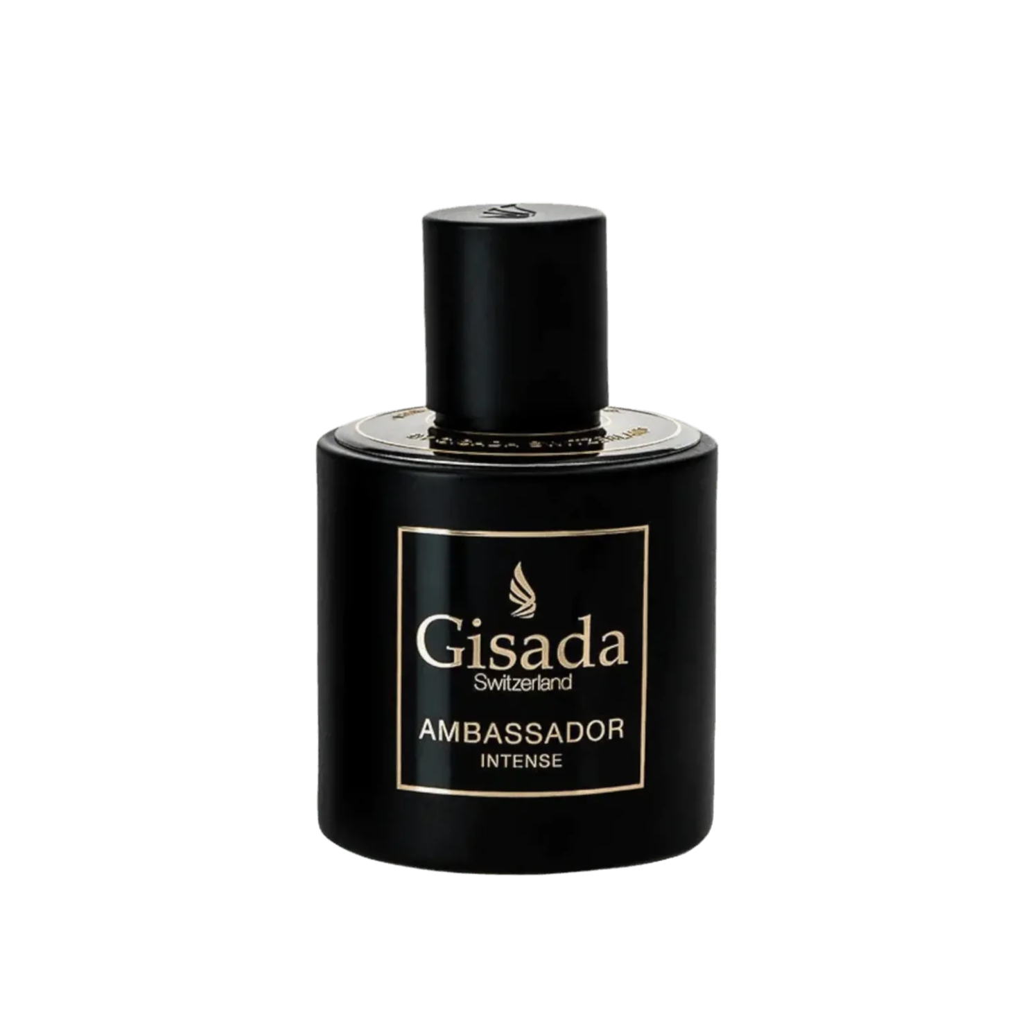 Gisada Ambassador Intense
