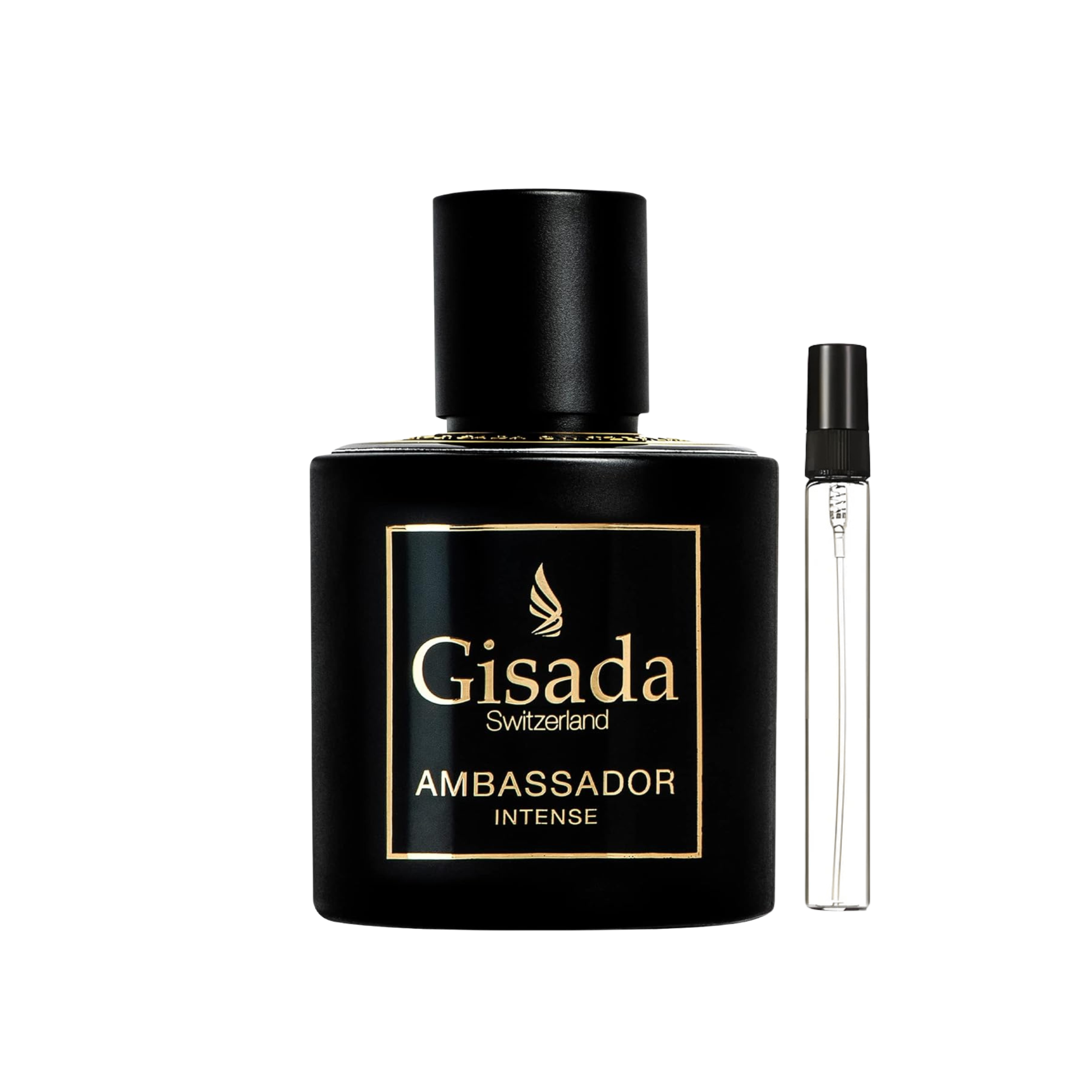 Gisada Ambassador Intense
